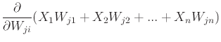 $\displaystyle \frac{\partial}{\partial W_{ji}}(X_1W_{j1}+X_2W_{j2}+...+X_nW_{jn})$