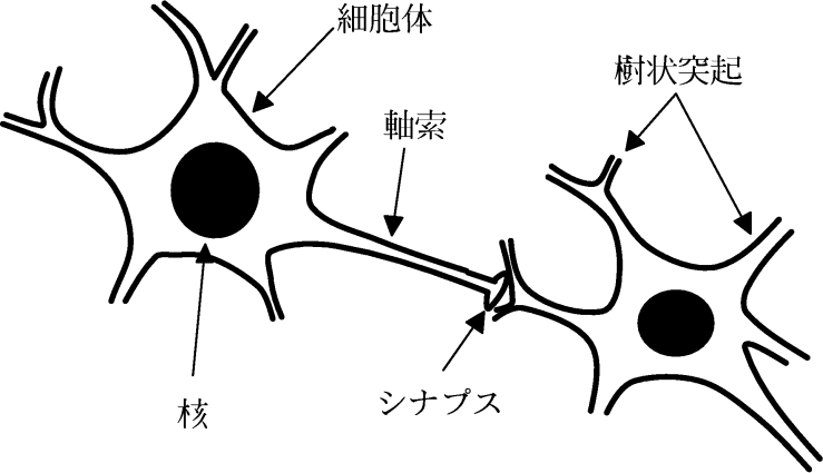 ニューロン Japaneseclass Jp