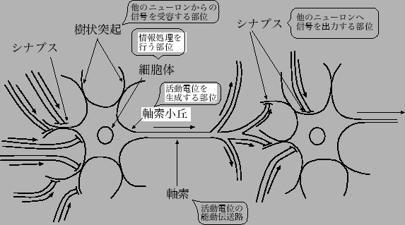 \includegraphics[scale=0.75]{cell.eps}