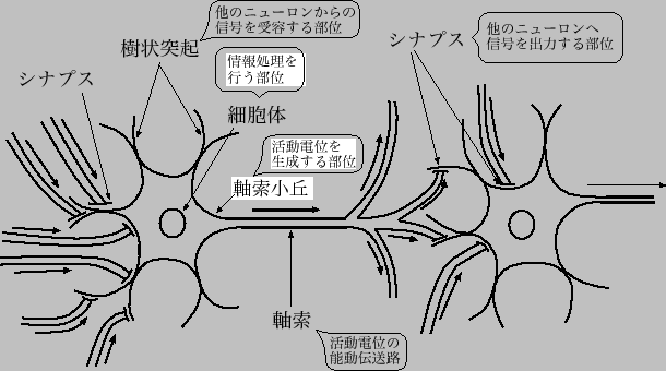 \includegraphics[scale=0.8]{fig/cell.eps}