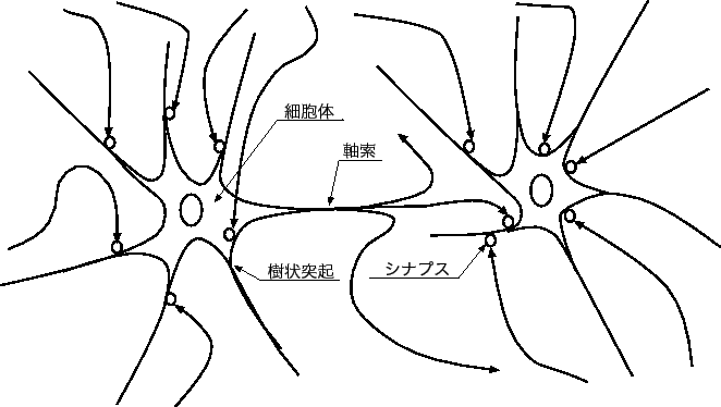 \includegraphics[scale=1.0]{images/neuron.eps}