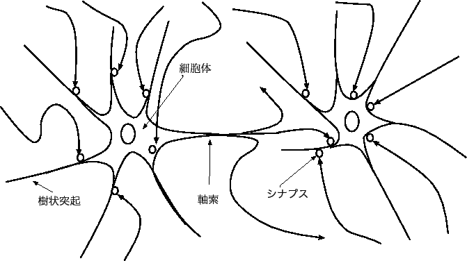 \includegraphics[scale=1]{epsfile/neuron.eps}