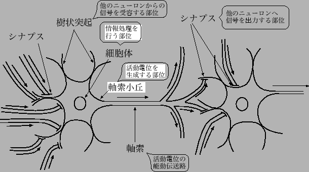 \includegraphics[scale=0.8]{fig/cell.eps}