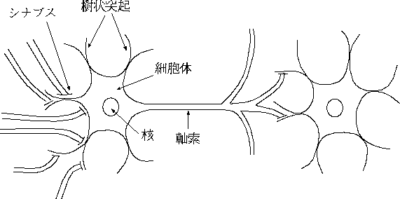 figure19