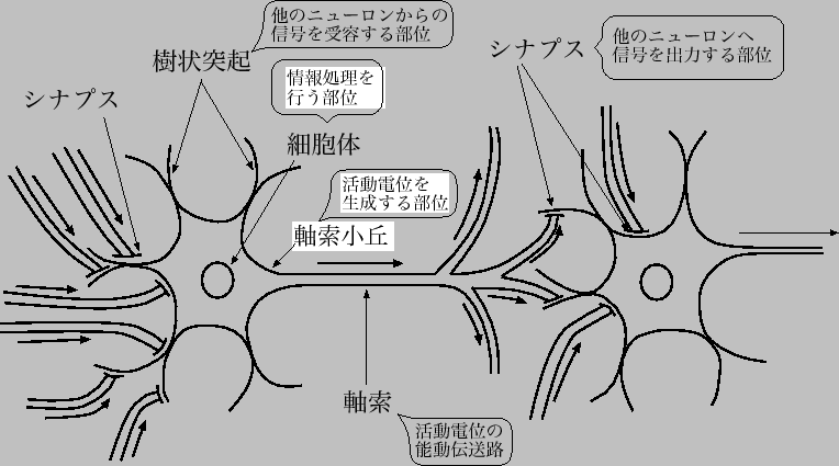 \includegraphics[scale=1]{eps1/cell.eps}