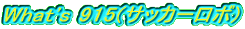 What's 915(TbJ[{)