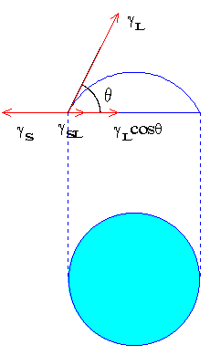 O̎iƁXOxj