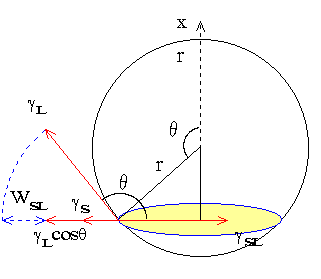 O̎iƁXOxj